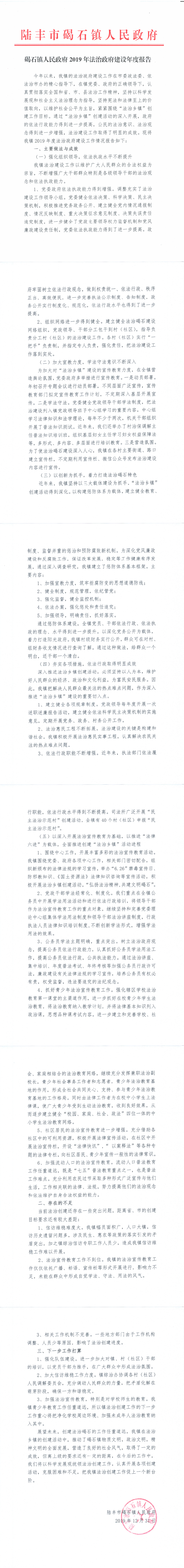 碣石鎮人民政府2019年法治政府建設年度報告_0.png