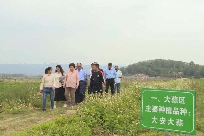 汕尾市關工委領導調研農村青年創業示范基地建設